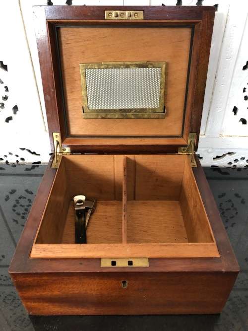 WOW !!! FANTASTIC ANTIQUE MAHOGANY CIGAR HUMIDOR INCLUDING A SOLINGEN CIGAR CUTTER