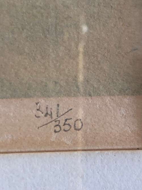 WOW !!! GREGOIRE BOONZAAIER FRAMED LIMITED EDITION PRINT SIGNED IN PENCIL - NUMBERED 341/350