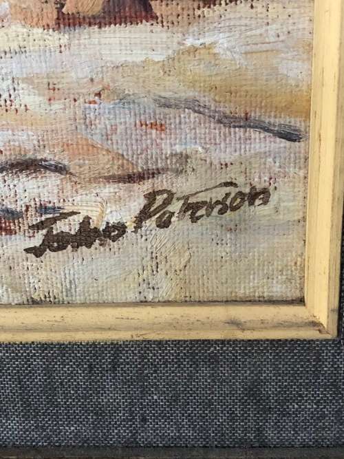WOW !!! JOHN PATERSON ( SA ARTIST ) LISTED - STUNNING OIL ON BOARD - SIGNED AND FRAMED