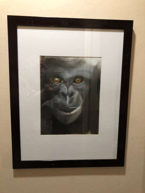 TOO CUTE - ORIGINAL OIL ON CANVAS - UNSIGNED BUT STILL STUNNING - IN A BLACK FRAME