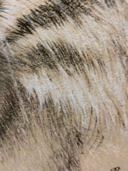 WOW !!! ABSOLUTELY STUNNING ORIGINAL MIXED MEDIA OF A TIGER BY FA BURNLEY DATED 1968