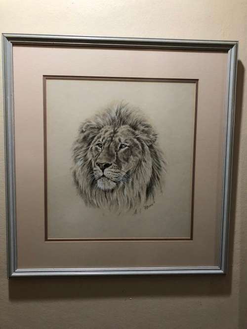 WOW !!! ABSOLUTELY STUNNING ORIGINAL MIXED MEDIA OF A LION BY FA BURNLEY DATED 1968