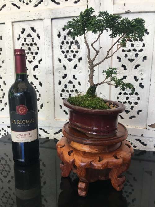 Vintage Chinese  Carved Wooden Stand with marble inlay. Perfect for any Display Bonzai or Vase