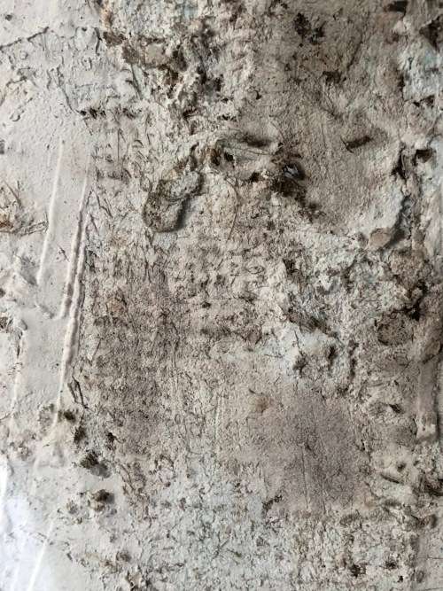 INVESTMENT ART !! SALOME HOLLOWAY (1964 - SA 20th CENTURY) FRAMED MIXED MEDIA ON BOARD - "RAW WORKS"