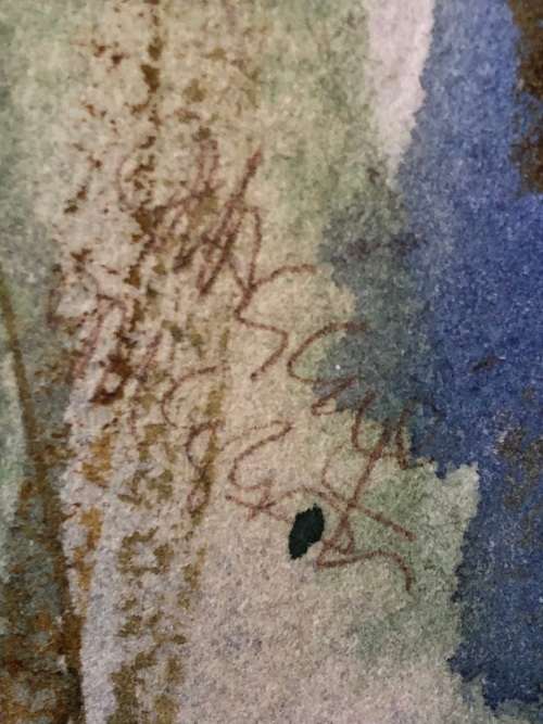 STUNNING FRAMED WATERCOLOR STILL LIFE OF FLOWERS "COSMOS" BY MAGGIE #1