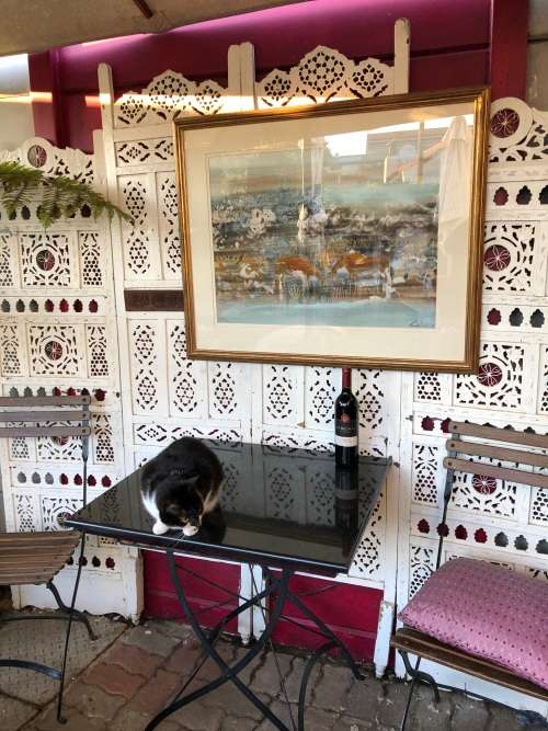 INVESTEMENT ART !!! GORDON VORSTER (SA 1924 - 1988) GORGEOUS FRAMED WATERCOLOR OF GEMSBOK