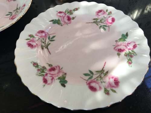 Rare Vintage Royal Albert Bone China England Pattern no 4365  Pastel Pink Rose Trio c1960s display
