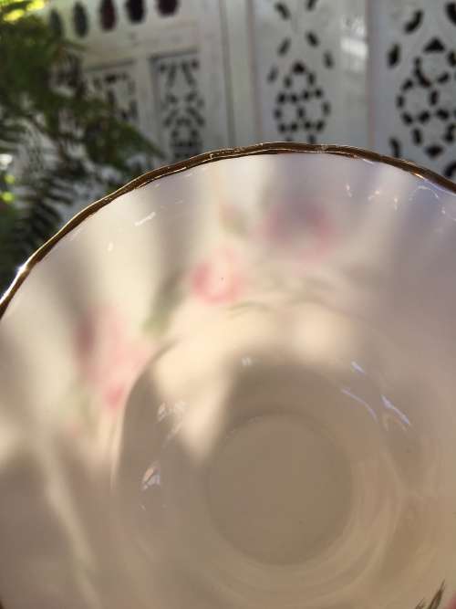 Rare Vintage Royal Albert Bone China England Pattern no 4365  Pastel Pink Rose Trio c1960s display