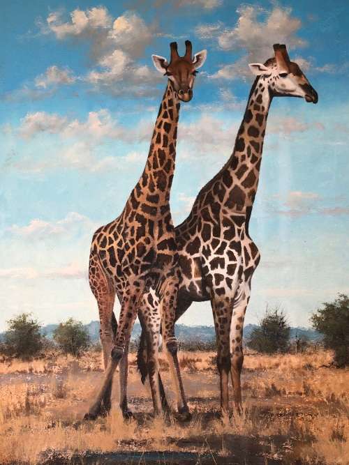 INVESTEMENT ART !!! NICO COETZEE (SA 20th CENTURY) GORGEOUS FRAMED OIL ON BOARD - GIRAFFE