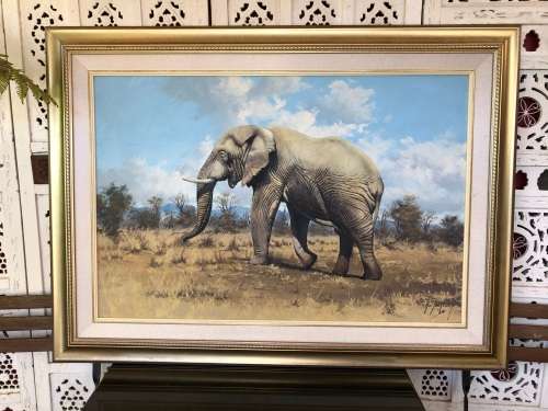 INVESTEMENT ART !!! NICO COETZEE (SA 20th CENTURY) GORGEOUS FRAMED OIL ON BOARD - ELEPHANT