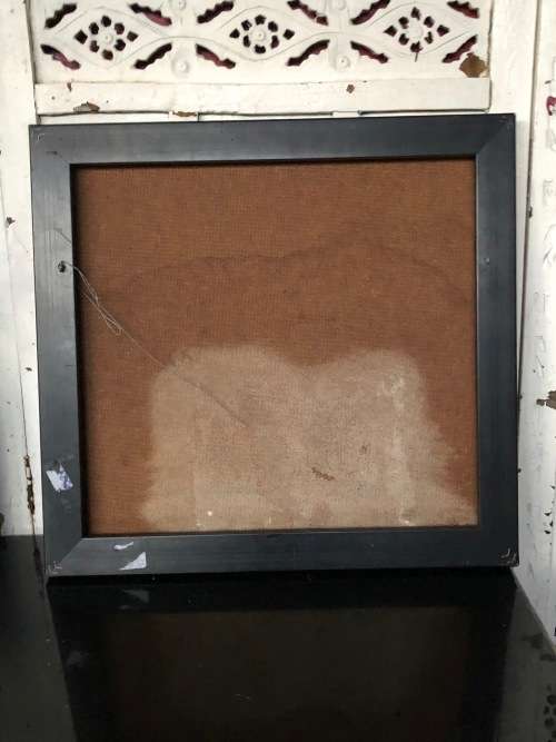 INVESTMENT ART !! PETER CLARKE (1929 - 2014) OIL ON CANVAS OF THISTLES DATED 1982 - MOUNTED TO BOARD