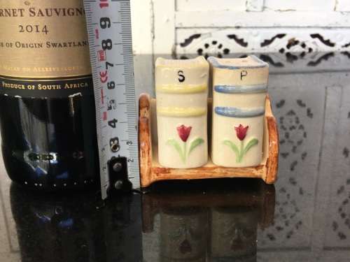 Unique Vintage Raised Relief Porcelain  Salt and Pepper Books and Bookcase