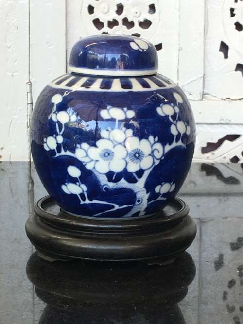 Chinese Prunus Ginger Jar on Carved Wood Stand, Hand Painted Under Glaze Kangxi Double Blue Ring