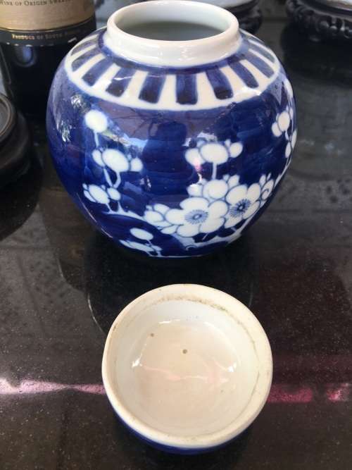 Chinese Prunus Ginger Jar on Carved Wood Stand, Hand Painted Under Glaze Kangxi Double Blue Ring
