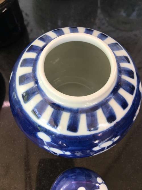Chinese Prunus Ginger Jar on Carved Wood Stand, Hand Painted Under Glaze Kangxi Double Blue Ring