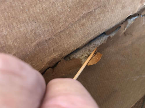 INVESTMENT ART !!! GIUSEPPE CATTY (CATARUZZA)  (SA 1914 - 1994) OIL ON CANVAS BOARD - AWESOME FRAME