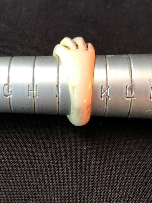 BEAUTIFUL 14ct GOLD INLAID RING - RING IS MADE FROM AN ANIMAL PRODUCT - NOT FOR EXPORT