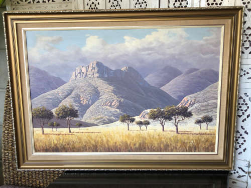 INVESTMENT ART !!!! ROLAND C. ROELOFSZ (SA) HUGE FRAMED OIL ON BOARD LANDSCAPE PAINTING