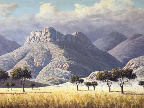 INVESTMENT ART !!!! ROLAND C. ROELOFSZ (SA) HUGE FRAMED OIL ON BOARD LANDSCAPE PAINTING