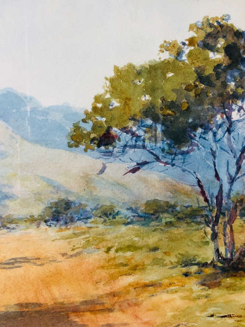 WOW !!! IRENE DYER (SA 1890 - 1954) STUNNING FRAMED WATERCOLOUR LANDSCAPE PAINTING