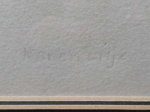 KAREN LILJE (AUTHOR) - SUPER RARE ! ORIGINAL FRAMED CHARCOAL RUBBING / ETCHING , LIMITED EDITION 2/2