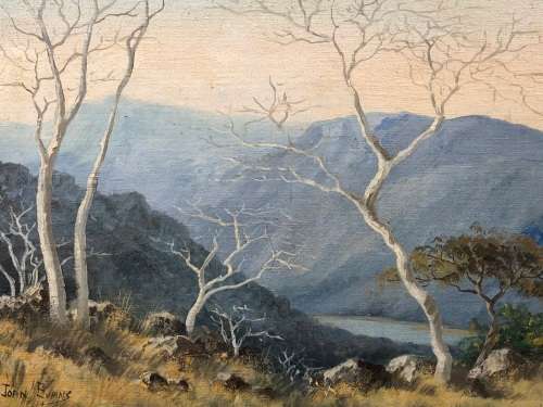 JOAN EVANS (1905 - 1986) FRAME OIL ON CANVAS LANDSCAPE PAINTING