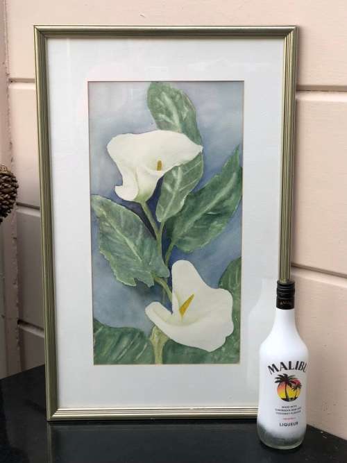 ALMA DICKIE ORIGINAL FRAMED WATERCOLOUR PAINTING OF ARUM LILIES