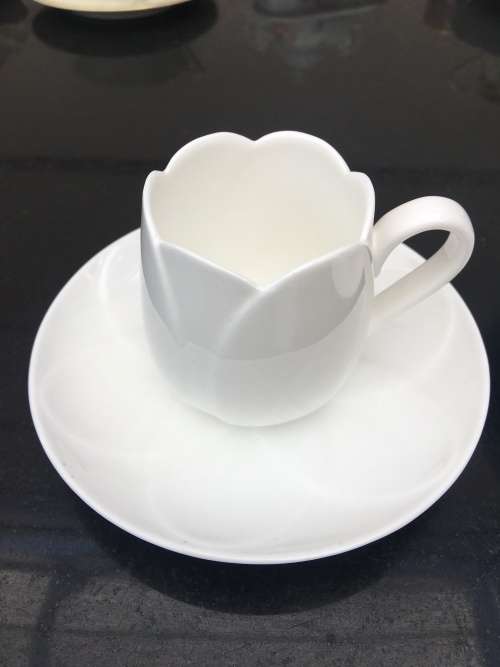 Collectors !!! Ultra Rare ALESSI Porcelain Demitasse / Mocha pair of Tulip Pattern Cups and Saucers