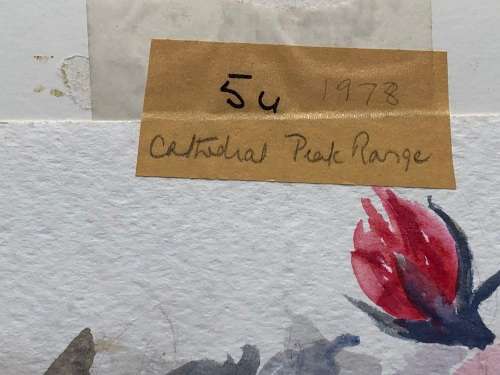 GERALDINE GULSTON (SA 20th CENTURY) UNFRAMED WATERCOLOUR PAINTING `CATHEDERAL PEAK RANGE` 1978