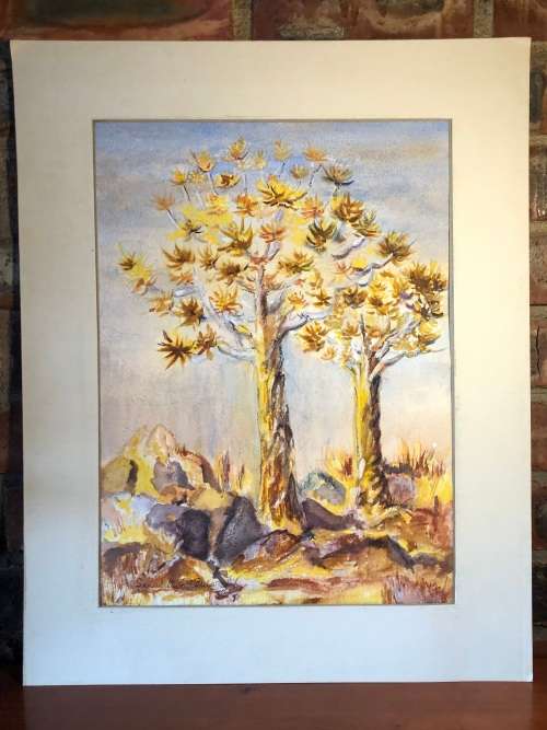GERALDINE GULSTON (SA 20th CENTURY) LARGE UNFRAMED WATERCOLOUR PAINTING `KOKERBOOM TREE` SWA `87
