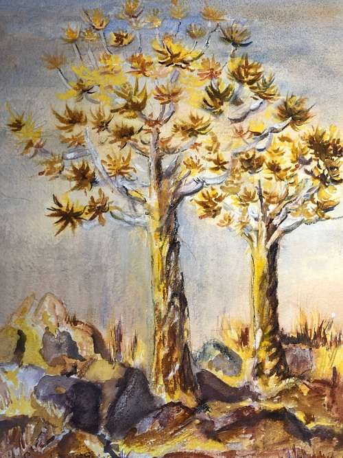 GERALDINE GULSTON (SA 20th CENTURY) LARGE UNFRAMED WATERCOLOUR PAINTING `KOKERBOOM TREE` SWA `87
