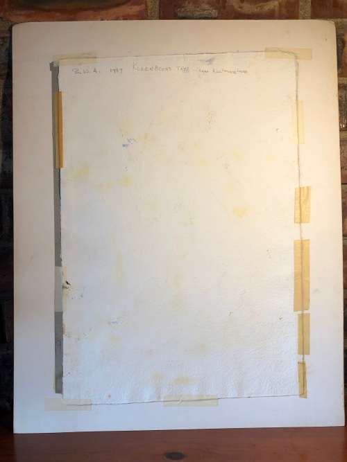 GERALDINE GULSTON (SA 20th CENTURY) LARGE UNFRAMED WATERCOLOUR PAINTING `KOKERBOOM TREE` SWA `87