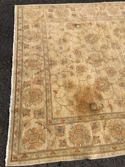Lovely pure wool hand knotted Ziegler Chobi Persian carpet , recently washed  2360 X 1730mm