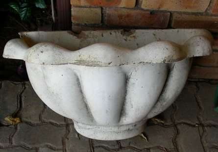 Vintage Shell white wall planter (c)