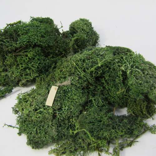 Lot of model Railway landscape material