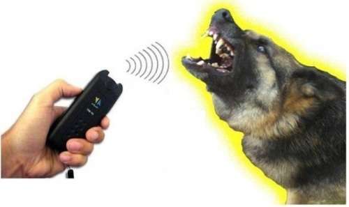 Ultrasonic Dog and Cat Chaser