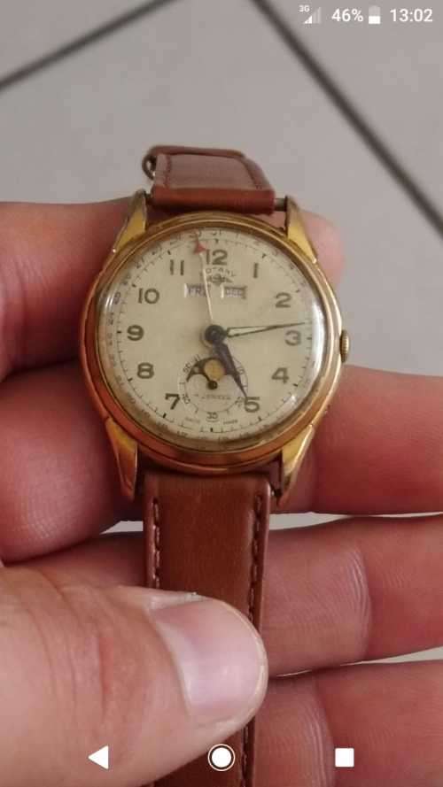 vintage rotary watch