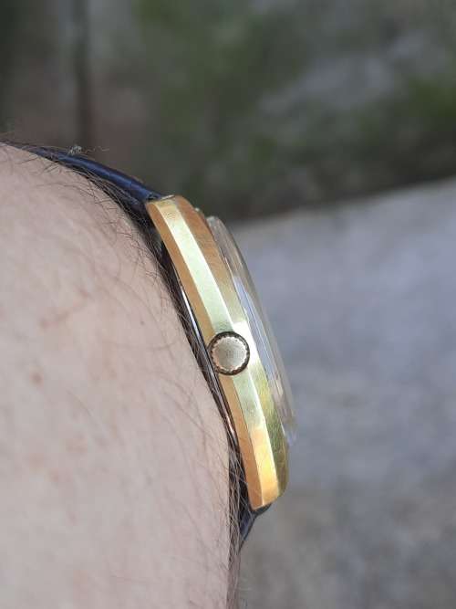 vintage men's rotary automatic