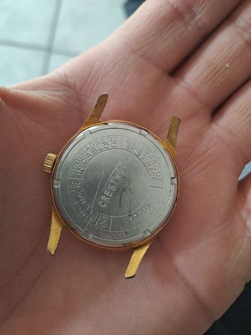 vintage men's evilux watch