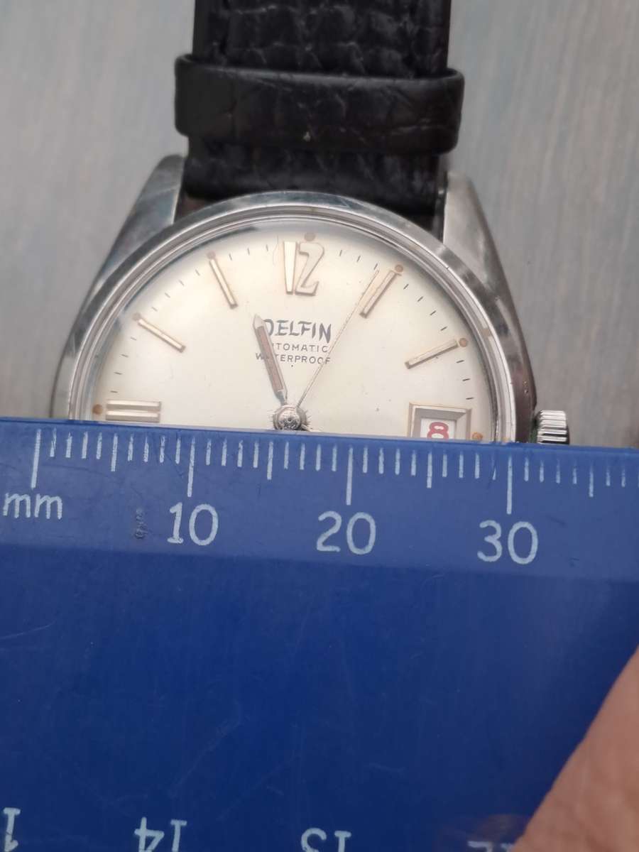 Vintage men`s Delfin watch wow 