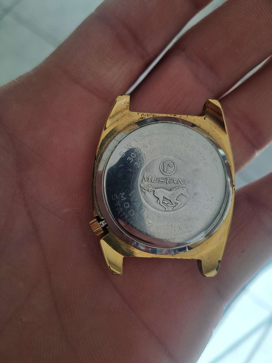 Vintage men`s Roamer mustang