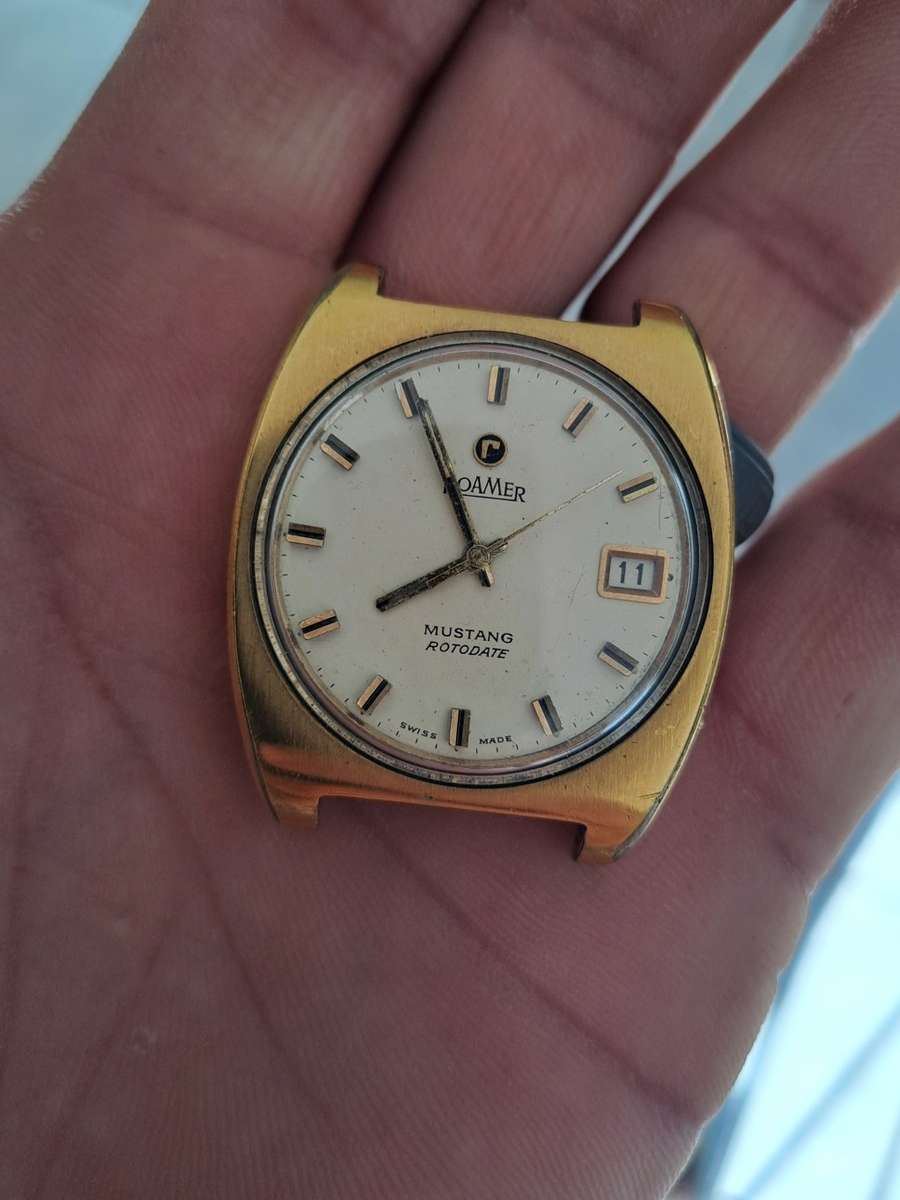 Vintage men`s Roamer mustang