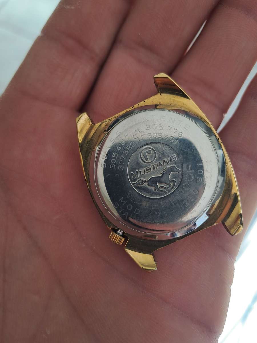 Vintage men`s Roamer mustang