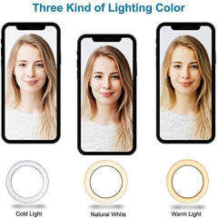 Ring Fill Light 10inch Black