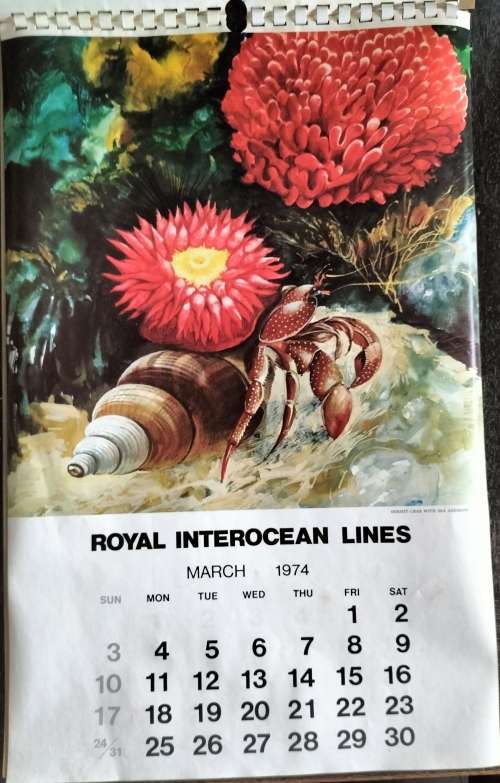1974 Calendar - Royal Interocean Lines - sketches of creatures of the sea