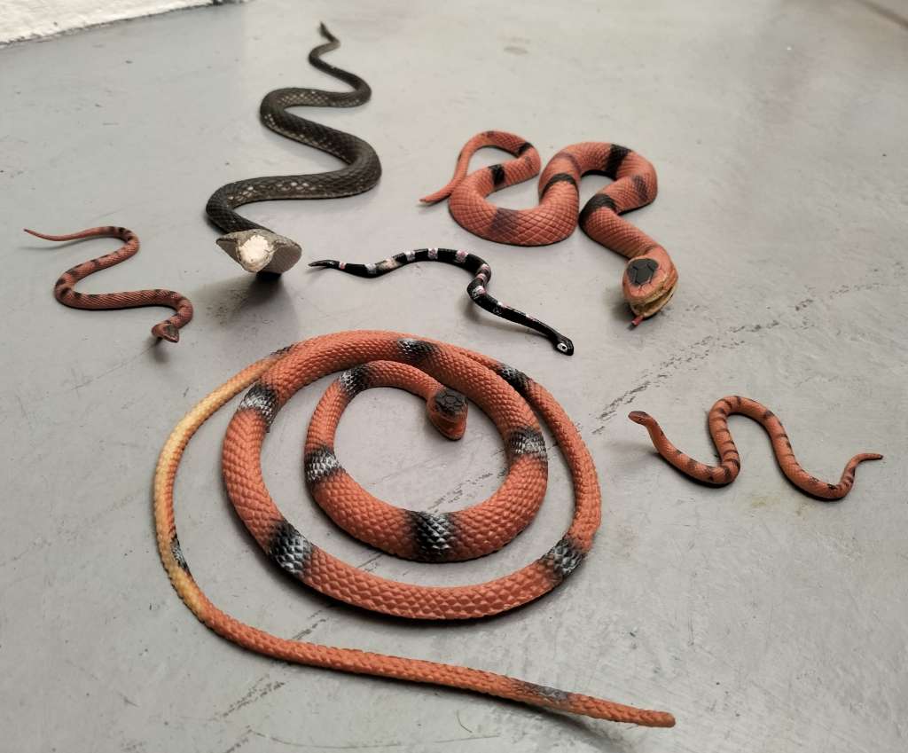 Collection of plastic toy snakes (x 6)