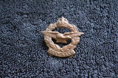 SAAF Brass Collar Badge