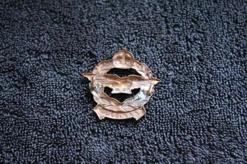 SAAF Brass Collar Badge