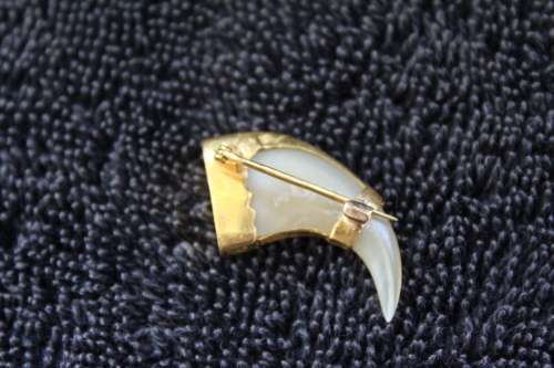 Vintage Gold Lion's Claw Brooch Pin