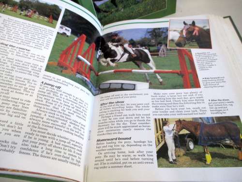 1980's Full Set #1-85 Horse Sense Magazines. Three Binders. Excellent Condition. Collectors Item.